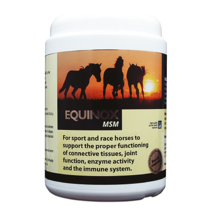 EQUINOX MSM - 1 Kg