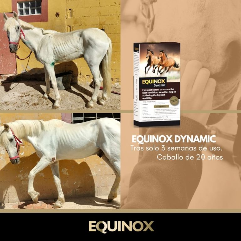 Antes y después de Equinox Dynamic