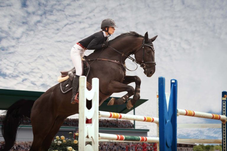 Alimentos para caballos de ocio vs competición_ ¿cuál es la clave