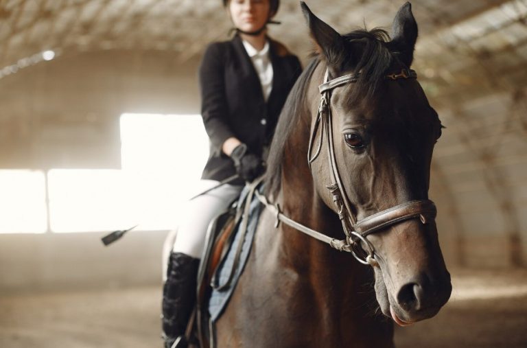 ¿Molestias digestivas en tu caballo_ Equinox Nonegus es la solución