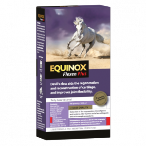EQUINOX Flexen Plus