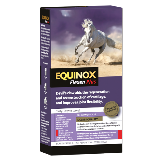 EQUINOX Flexen Plus